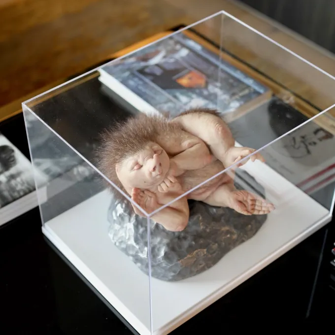 Patricia Piccinini